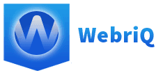 WebIQ